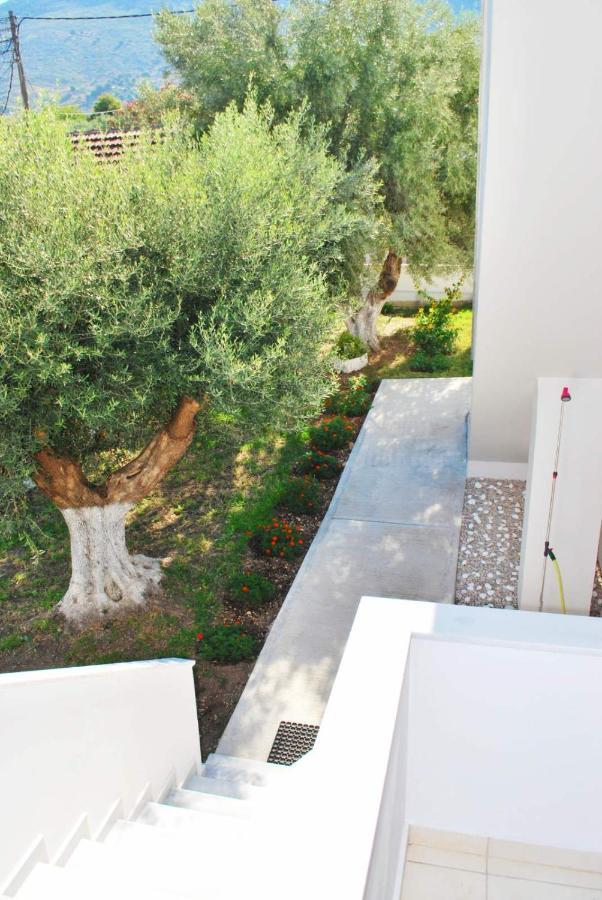 Q Luxury Rooms Paleros Exteriér fotografie